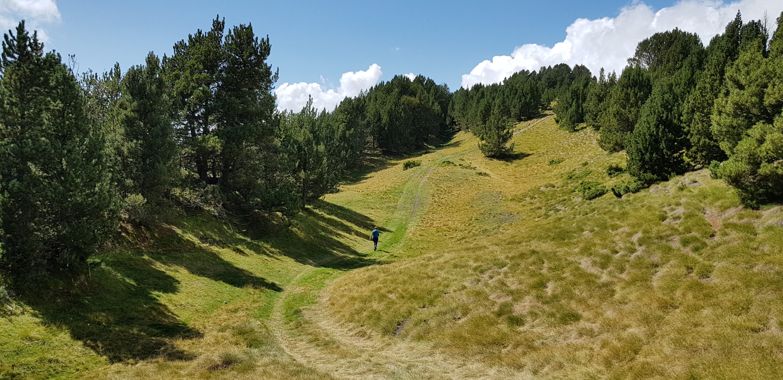Roztrenowanie, czyli leżenie bykiem?