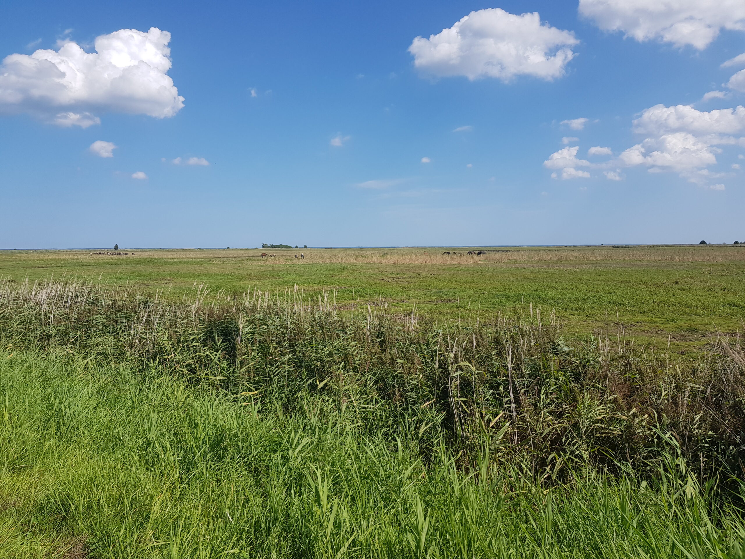 186 km na rowerze
